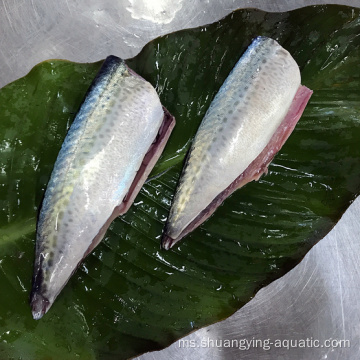 Pacific Frozen Mackerel HGT dengan kualiti terbaik